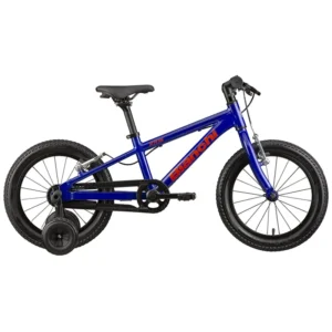 BIANCHI XR16